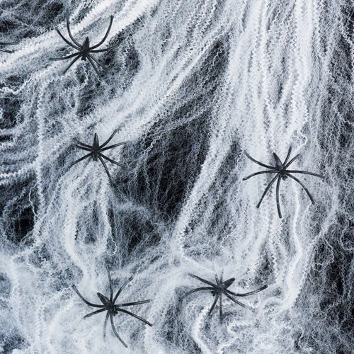 2 Toiles D'Araignée Décoratives Blanches Et 12 Araignées 1 2 Toiles D'Araignée Décoratives Blanches Et 12 Araignées