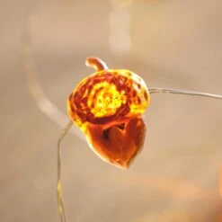 Guirlande Lumineuse à 30 Silhouettes LED Automnales 9 Guirlande Lumineuse à 30 Silhouettes LED Automnales -Noel Deco Magasin C20 AUTUMN guirlande lumineuse a 30 silhouettes led automnales 4