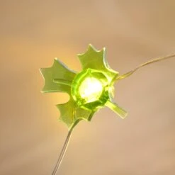 Guirlande Lumineuse à 30 Silhouettes LED Automnales 10 Guirlande Lumineuse à 30 Silhouettes LED Automnales -Noel Deco Magasin C20 AUTUMN guirlande lumineuse a 30 silhouettes led automnales 5