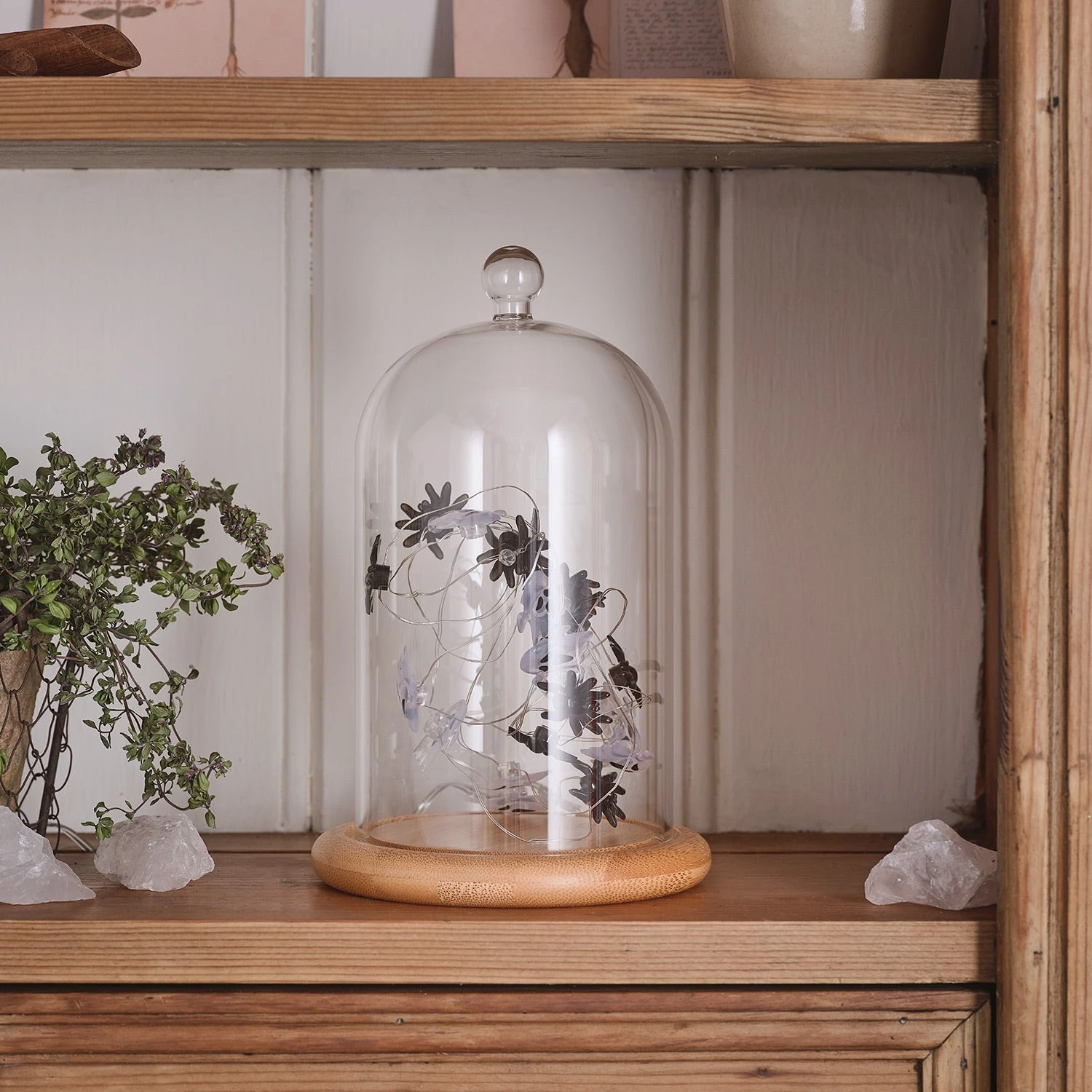 Lot De Cloche En Verre & Guirlande Micro LED Fantômes Et Araignées 2 Lot De Cloche En Verre & Guirlande Micro LED Fantômes Et Araignées – Image 2