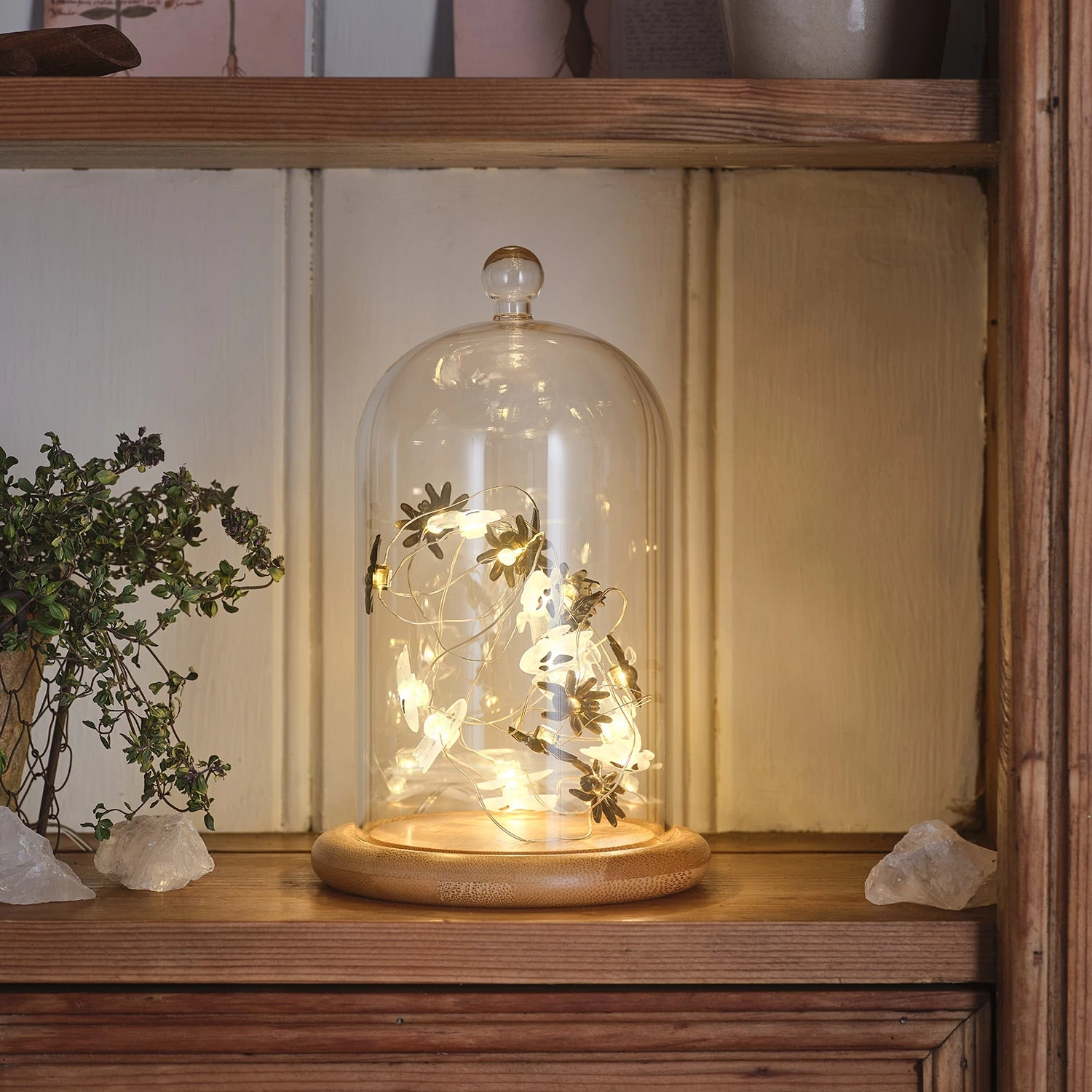 Lot De Cloche En Verre & Guirlande Micro LED Fantômes Et Araignées 1 Lot De Cloche En Verre & Guirlande Micro LED Fantômes Et Araignées