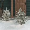 Lot De 2 Sapins De Noël De 91cm Sur Piquet à LED Bicolore, Effet Givré