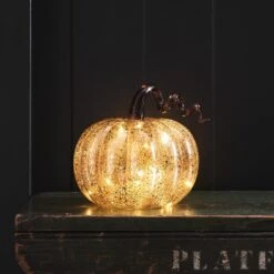 Citrouille Lumineuse Ambrée à Tige En Spirale 8 Citrouille Lumineuse Ambrée à Tige En Spirale -Noel Deco Magasin LL21067 citrouille lumineuse ambree a tige en spirale 4