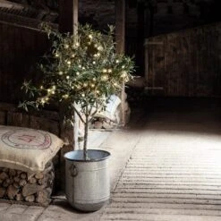 Guirlande Lumineuse à Piles 50 LED Blanc Chaud Sur Câble Transparent 6 Guirlande Lumineuse à Piles 50 LED Blanc Chaud Sur Câble Transparent -Noel Deco Magasin LL50YWC 50 Warm White Outdoor Battery Lights olive tree barn P2
