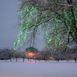 Guirlande Lumineuse Core Connect 10m 100 LED Verte Câble Transparent Raccordable 7 Guirlande Lumineuse Core Connect 10m 100 LED Verte Câble Transparent Raccordable -Noel Deco Magasin ML100GC Green LED Connectable Fairy Lights Christmas Tree P3