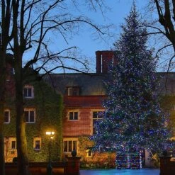 Guirlande Lumineuse Core Connect 50m 500 LED Multicolore Câble Vert Raccordable 9 Guirlande Lumineuse Core Connect 50m 500 LED Multicolore Câble Vert Raccordable -Noel Deco Magasin ML100MG multi coloured Christmas tree lights at queen ethelburgas york P3 fa0b26a9 664e 4b1e 91c8 da93ab7c8edb