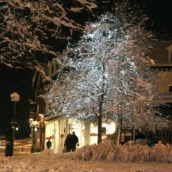 Guirlande Lumineuse Core Connect 50m 500 LED Blanche Câble Vert Raccordable 11 Guirlande Lumineuse Core Connect 50m 500 LED Blanche Câble Vert Raccordable -Noel Deco Magasin ML100WG White LED Fairy Lights P4 460084fb b26f 4653 9f5e 6ec5742f0cd9