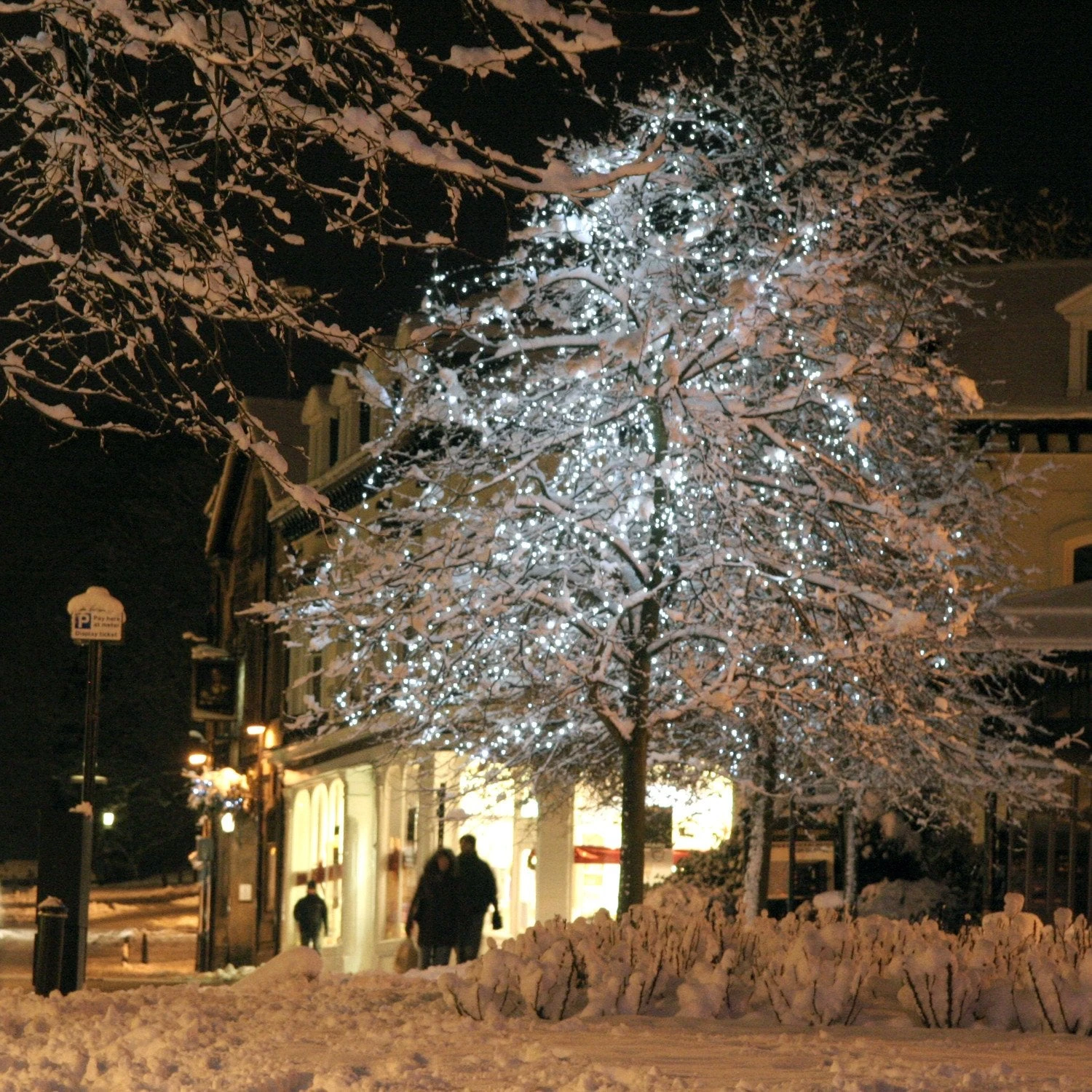 Guirlande Lumineuse Core Connect 50m 500 LED Blanche Câble Vert Raccordable 4 Guirlande Lumineuse Core Connect 50m 500 LED Blanche Câble Vert Raccordable – Image 4