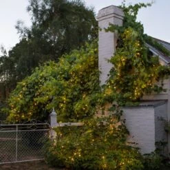 Guirlande Lumineuse Core Connect 10m 100 LED Blanc Chaud Câble Vert Raccordable 7 Guirlande Lumineuse Core Connect 10m 100 LED Blanc Chaud Câble Vert Raccordable -Noel Deco Magasin ML100YWG Outdoor Warm White Core Rangeh Fairy Lights String P3