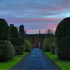 Filet Lumineux Core Connect 10m X 2m 700 LED Blanche Câble Vert Raccordable 10 Filet Lumineux Core Connect 10m X 2m 700 LED Blanche Câble Vert Raccordable -Noel Deco Magasin ML140WG White Hedge Net Light P4 6550e63c 1da4 45cd 8ecd 9f0aba5795d3