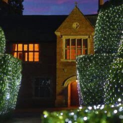 Filet Lumineux Core Connect 2m X 2m 140 LED Blanche Câble Vert Raccordable 11 Filet Lumineux Core Connect 2m X 2m 140 LED Blanche Câble Vert Raccordable -Noel Deco Magasin ML140WG White Hedge Net Light P5