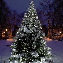 Filet Lumineux Core Connect 2m X 2m 140 LED Blanche Câble Vert Raccordable 13 Filet Lumineux Core Connect 2m X 2m 140 LED Blanche Câble Vert Raccordable -Noel Deco Magasin ML140WG White Net Light P7