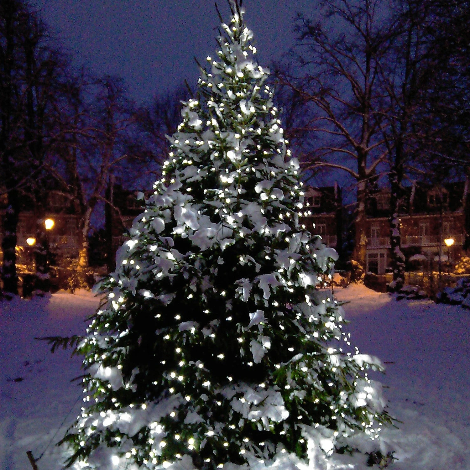 Filet Lumineux Core Connect 2m X 2m 140 LED Blanche Câble Vert Raccordable 7 Filet Lumineux Core Connect 2m X 2m 140 LED Blanche Câble Vert Raccordable – Image 7