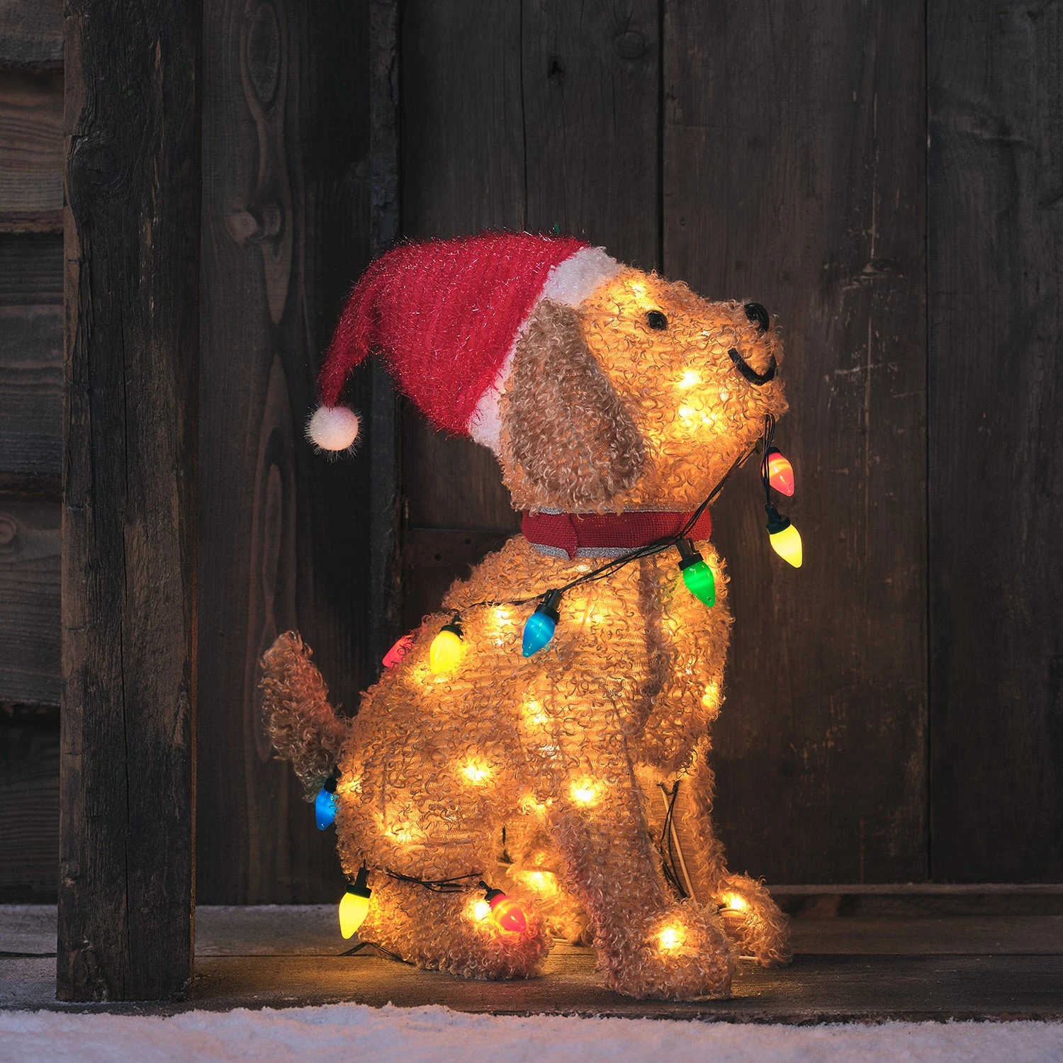 Chiot Lumineux Avec Guirlande Multicolore 1 Chiot Lumineux Avec Guirlande Multicolore