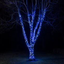 Guirlande Lumineuse Pro Connect 50m 500 LED Bleue Et Blanche Câble Noir Raccordable
