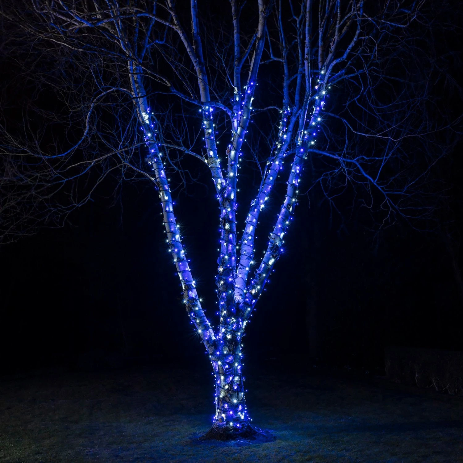 Guirlande Lumineuse Pro Connect 50m 500 LED Bleue Et Blanche Câble Noir Raccordable 1 Guirlande Lumineuse Pro Connect 50m 500 LED Bleue Et Blanche Câble Noir Raccordable