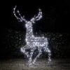 Cerf En Rotin De 2 M, Renne De Noël Lumineux à LED Bicolore Studley 24v